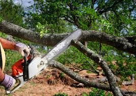 Best Commercial Tree Services  in Lla Lla, WA