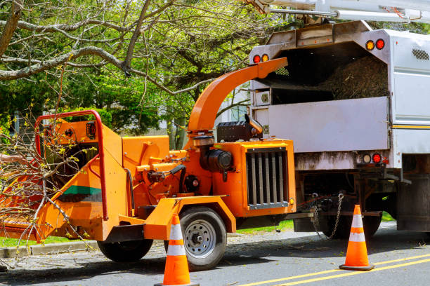  Lla Lla, WA Tree Services Pros